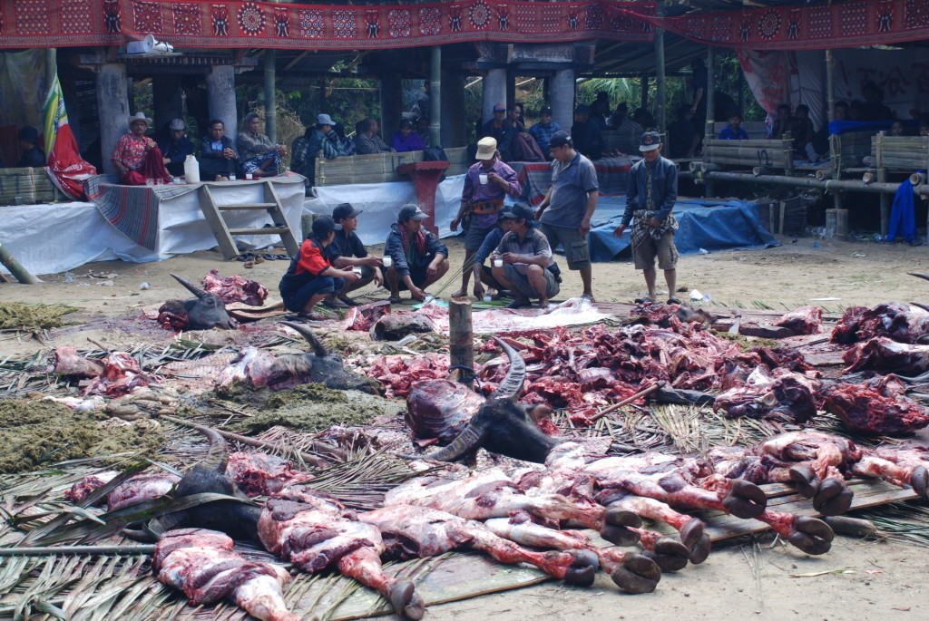 Tana Toraja Tana Toraja