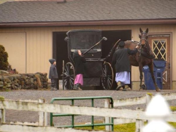 amish, Ohio medium_amish fam